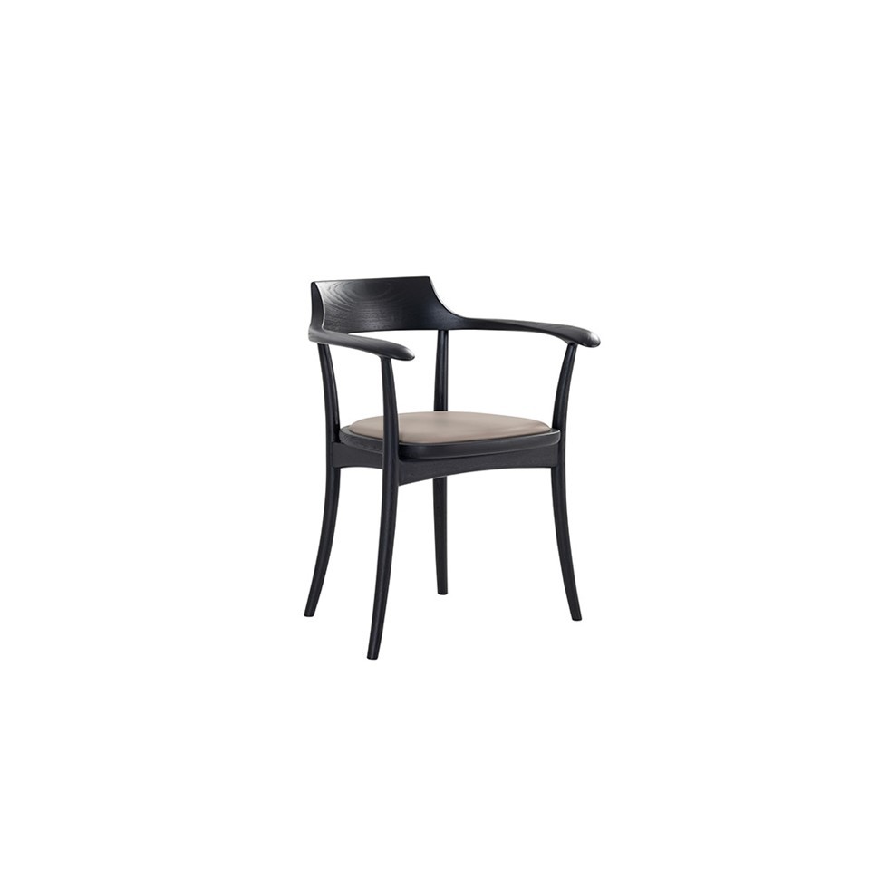 Levity Home Dining Chairs